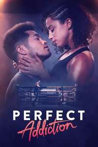 Perfect Addiction - Poster