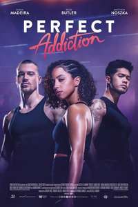 Perfect Addiction - Poster