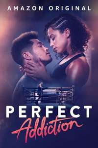 Perfect Addiction - Poster