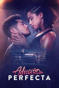 Perfect Addiction - Poster