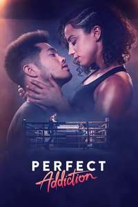Perfect Addiction - Poster
