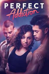 Perfect Addiction - Poster