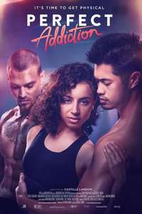 Perfect Addiction - Poster