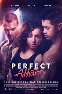 Perfect Addiction - Poster