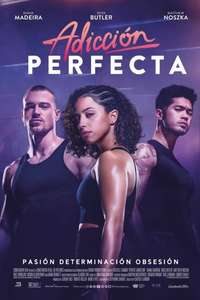 Perfect Addiction - Poster