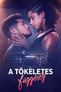 Perfect Addiction - Poster