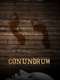 Conundrum: Secrets Among Friends