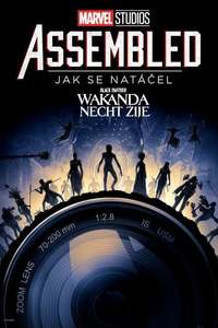 Marvel Studios Assembled: The Making of Black Panther: Wakanda Forever - Posters