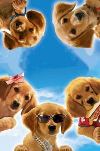 Air Buddies - Poster