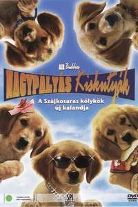 Air Buddies - Poster