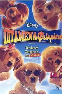 Air Buddies - Poster