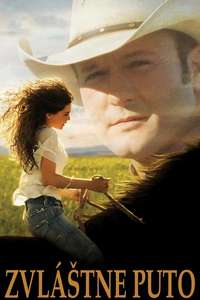 Flicka - Posters