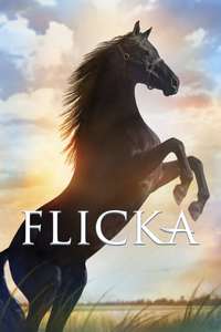 Flicka - Posters
