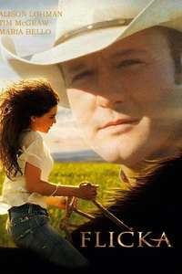 Flicka - Posters