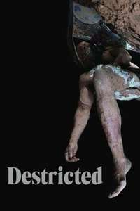 Destricted - Poster