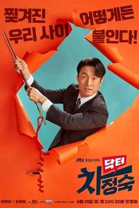 Doctor Cha - Posters