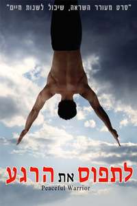 Peaceful Warrior - Poster