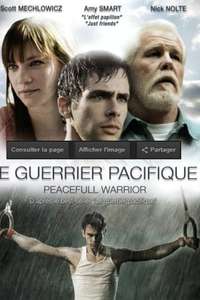 Peaceful Warrior - Poster