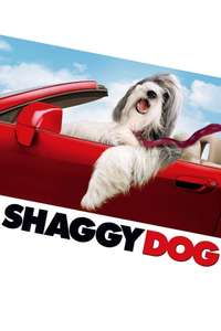 The Shaggy Dog - Poster