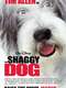 The Shaggy Dog