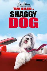 The Shaggy Dog - Poster