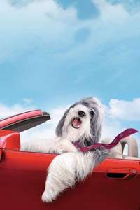 The Shaggy Dog - Poster