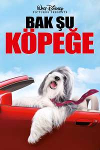 The Shaggy Dog - Poster