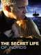 The Secret Life of Words