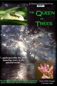 The Queen of Trees - Poster