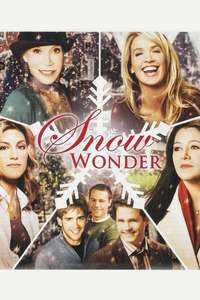 Snow Wonder - Poster
