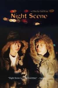 Night Scene - Poster
