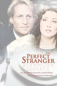 The Perfect Stranger - Poster