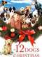 The 12 Dogs of Christmas