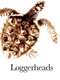 Loggerheads