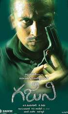 Ghajini