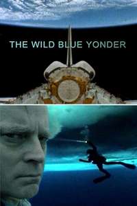 The Wild Blue Yonder - Poster