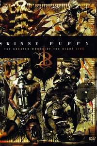 Skinny Puppy: The Greater Wrong of the Right Live - Poster