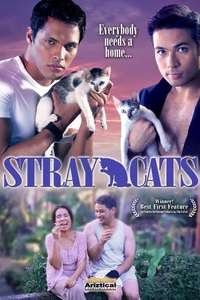 Stray Cats - Poster