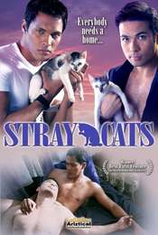 Stray Cats