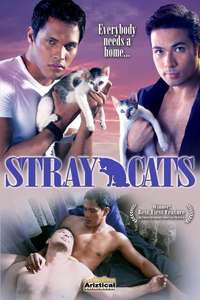 Stray Cats - Poster