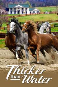 Thicker Than Water - Poster
