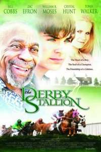 The Derby Stallion - Poster