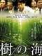 Jyukai: The Sea of Trees Behind Mt. Fuji