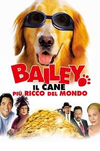 Bailey's Billion$ - Poster
