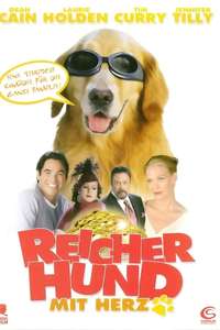 Bailey's Billion$ - Poster