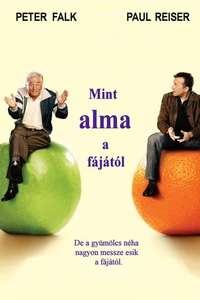 The Thing About My Folks - Poster