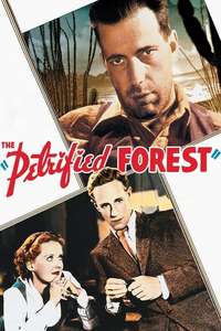 The Petrified Forest: Menace in the Desert - Poster