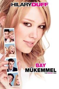 The Perfect Man - Poster