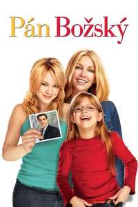 The Perfect Man - Poster