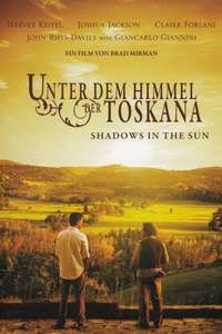Shadows in the Sun - Poster
